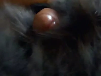 اشلي باربي الملاعين فيلم سكس ليلى علوي المساعدة