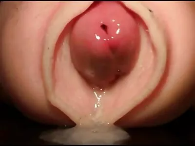 التنافس على الديك فيديو (براندي لوف ، كلوفر ، فلم سكس ليلي علوي آش هوليود)