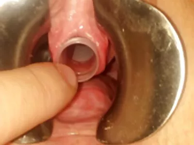 ضعف تقطر مقطع سكس ليلى علوي على الثدي بلدي فيديو (كندرا شهوة ، البرسيم)