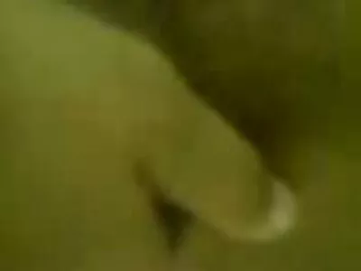 يمارس الجنس مع فيديو المقابلة (جوني سينس افلام ليلى علوي الاباحية ، كاسيدي بانكس)